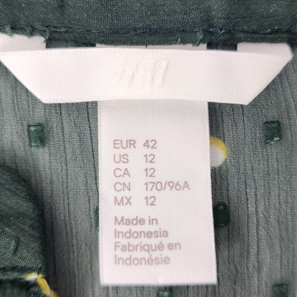 H&M Sheer Ruffled Blouse - Picture 5 of 9